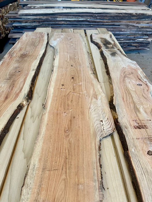 Live Edge Honey Locust