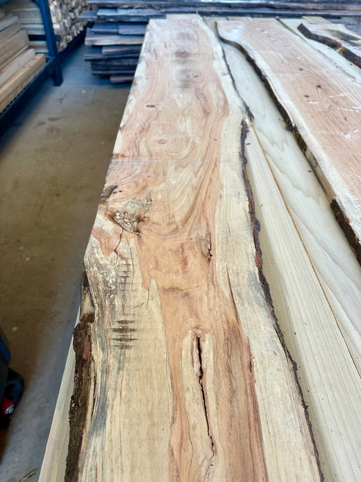 Live Edge Honey Locust