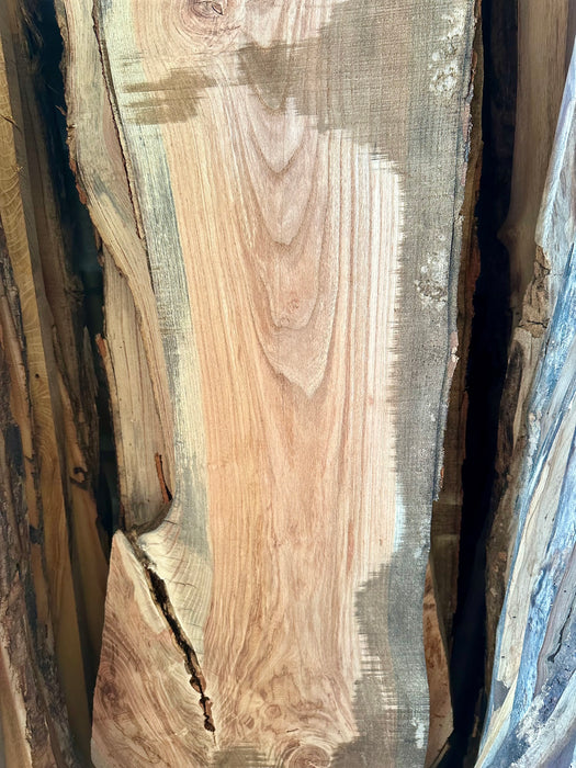 Live Edge Pecan Lumber